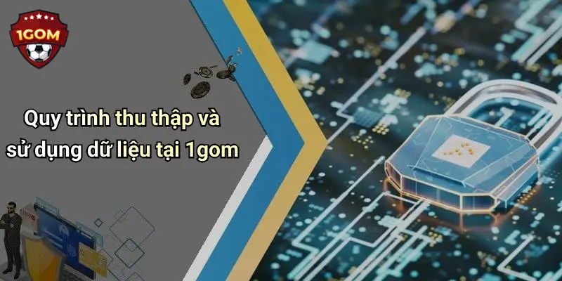 Quy trình thu thập và sử dụng dữ liệu tại 1gom