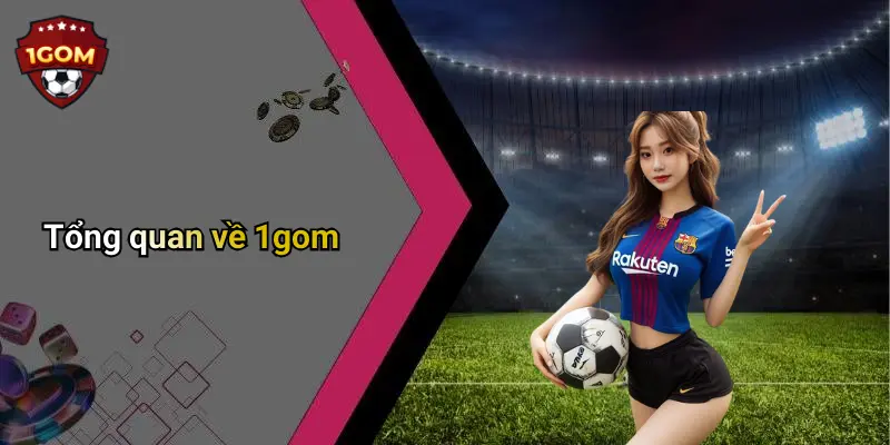 Tổng quan về 1gom