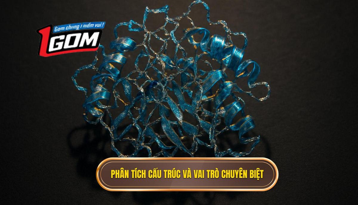 Phân tích Cấu trúc Cơ bản và Vai trò Chuyên biệt