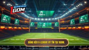 Bảng kèo V-League mới nhất: Cập nhật tỷ lệ và phân tích chuyên sâu từ chuyên gia